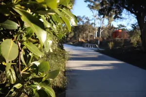 2025-06-21 Bartons Park - IMG_2590_compressed_q50.webp